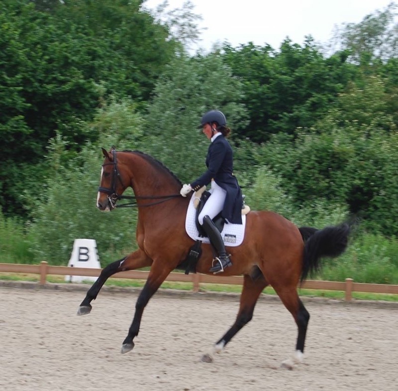 ‘Onze’ Eva wordt Sport Horse Manager