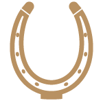 Preloader logo