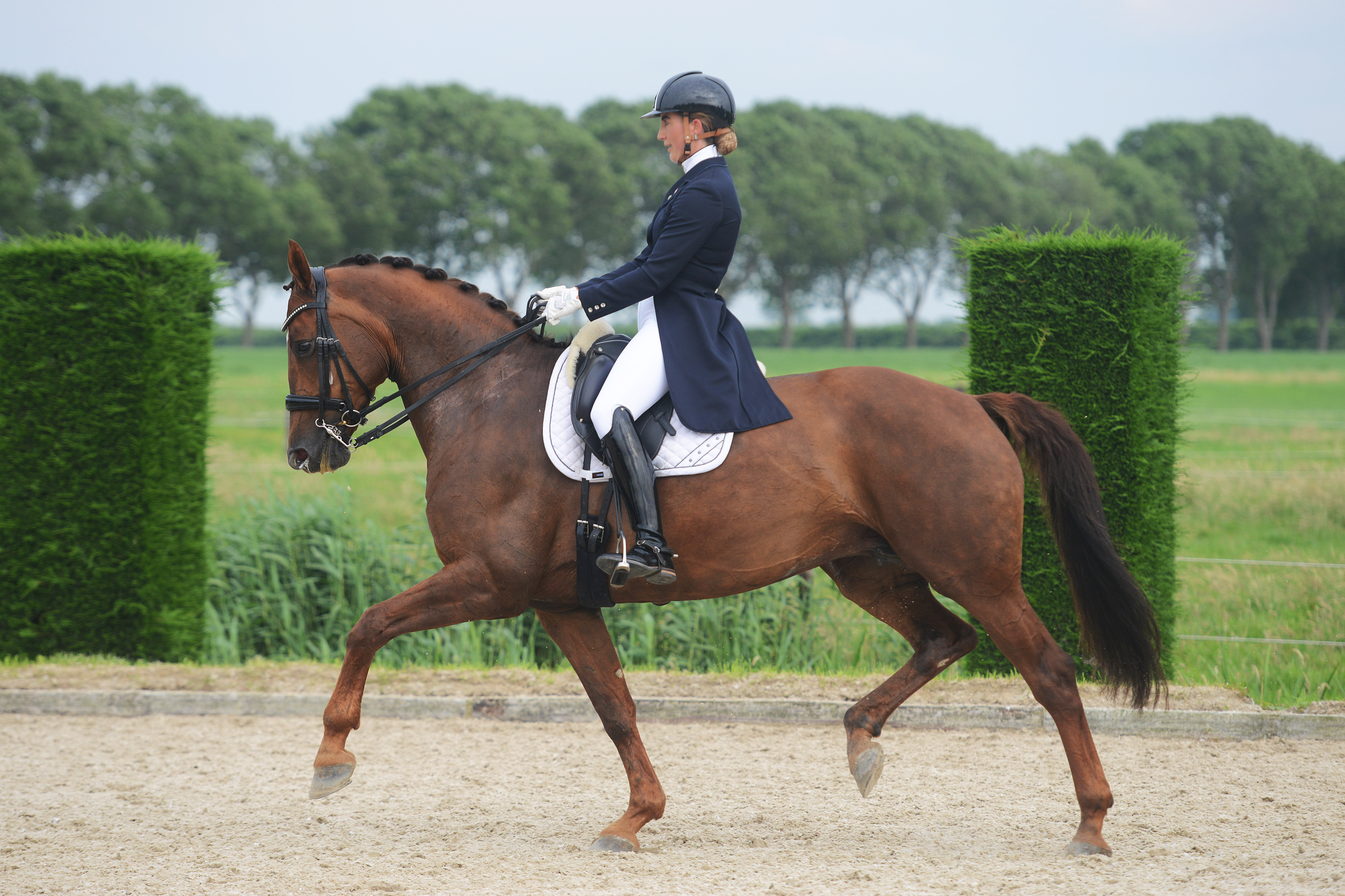 Online instructie: Gebroken lijnen in galop