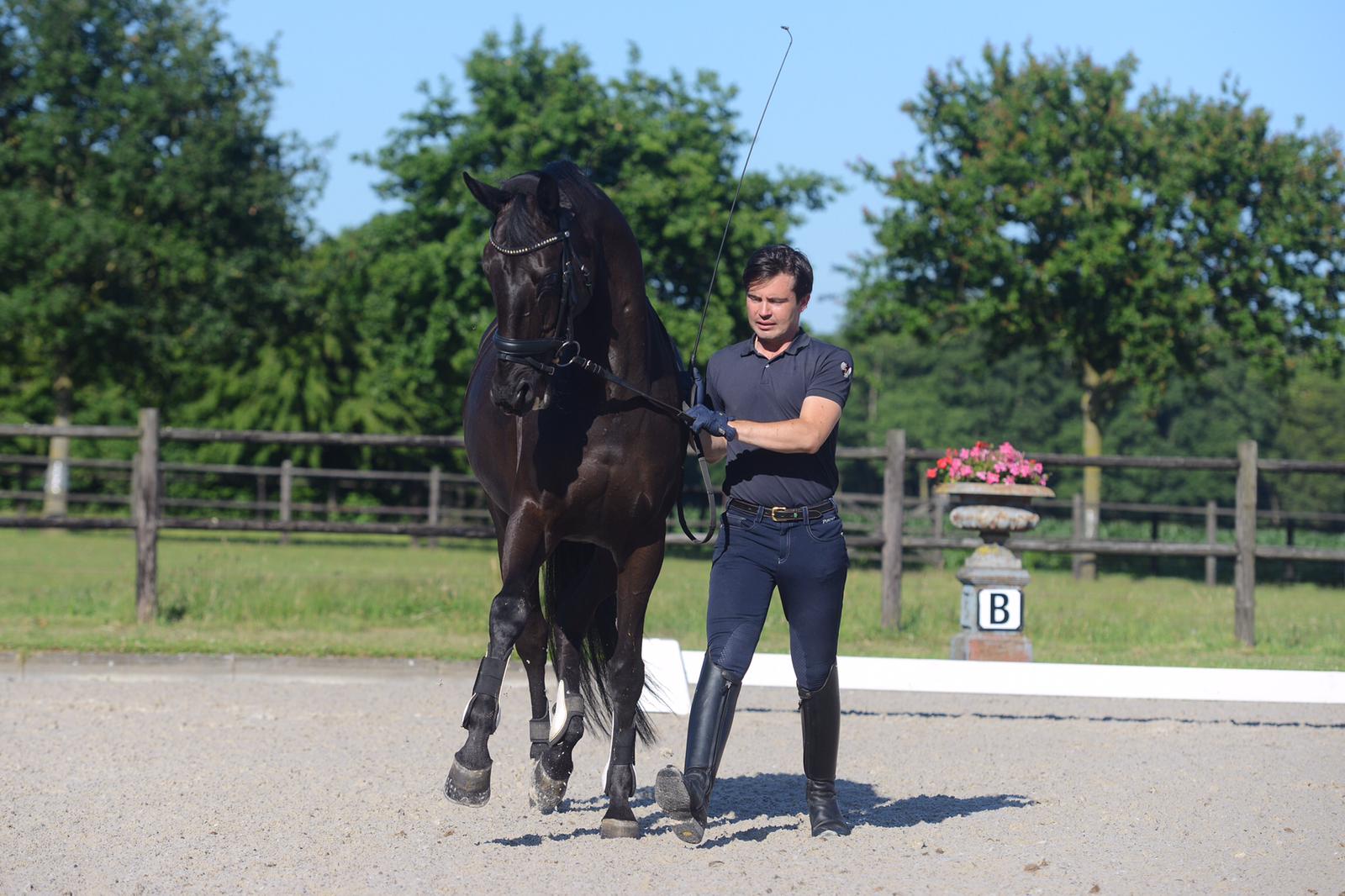 Indeling Clinics met Rodrigo Laserna – Werken aan de hand 14 november