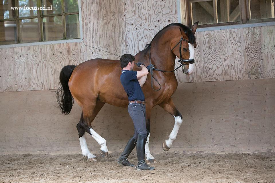 Indeling training met Rodrigo Laserna 7 maart