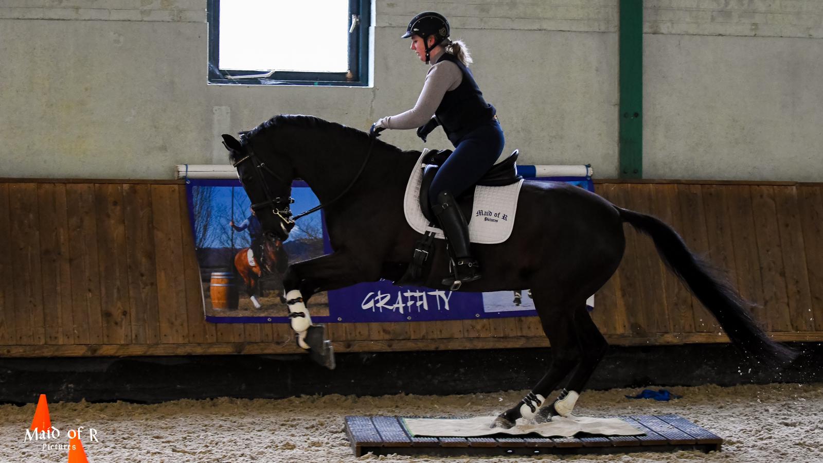 Terugkijken: Eerste WE-training 8 mei