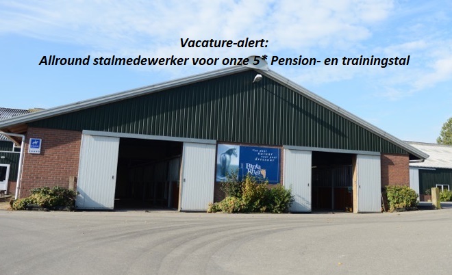 Vacature: Hippische duizendpoot met oog voor detail