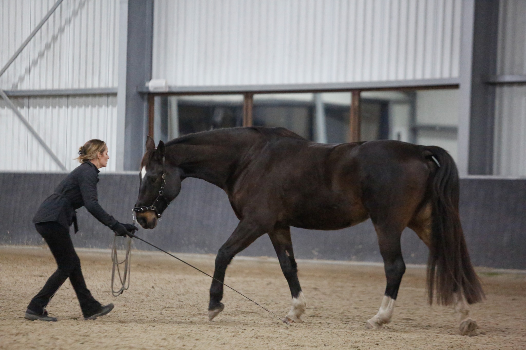 Clinic: ‘Verbeter de communicatie met je paard door grondwerk’ met Celine van der Stroom