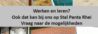 Werken en leren bij ons op Stal Panta Rhei: Maak van je passie je beroep! (BBL/BOL/Leerbaan)